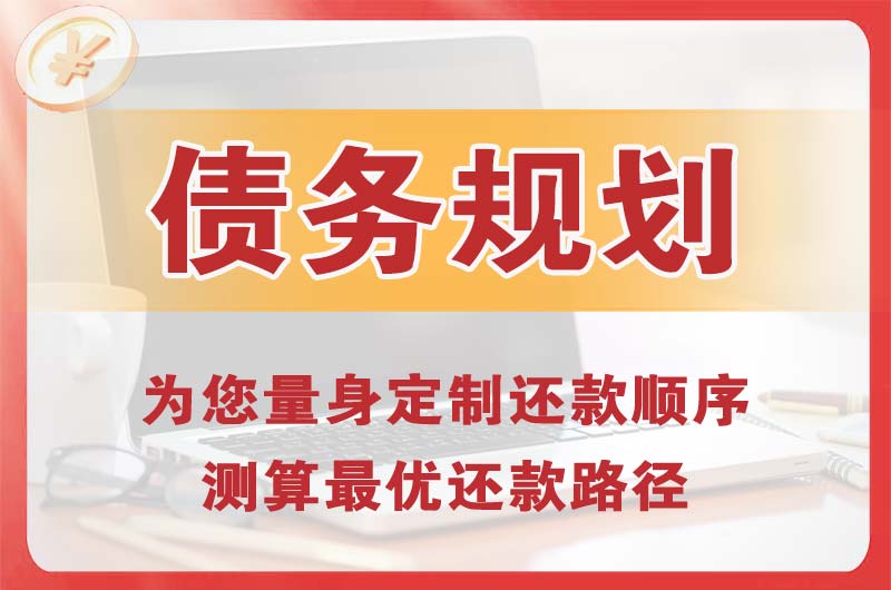 甘德债务规划